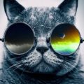 avatar Shayra