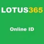 Lotus365 APK — Betting App Overview (18+) for Android