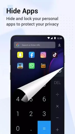 Screenshot HideX free download