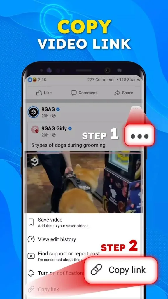 SnapSave (Versión española)