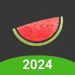 Melon VPN MOD APK (VIP Unlocked)