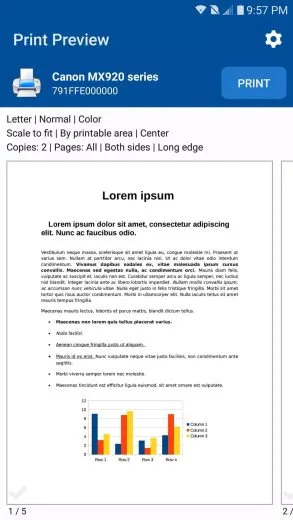 Screenshot NokoPrint apk